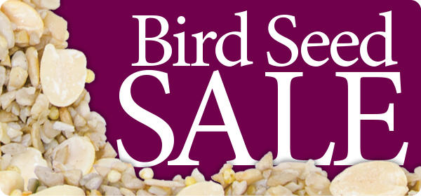 wild birds unlimited seed sale